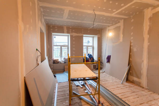 Best Drywall Sanding and Smoothing  in Fox River Grove, IL